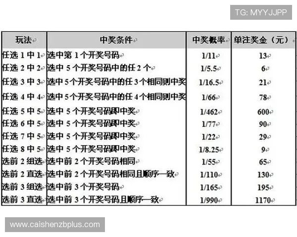 新浪彩票十一选五玩法解析与投注技巧指南，助你轻松掌握选号技巧