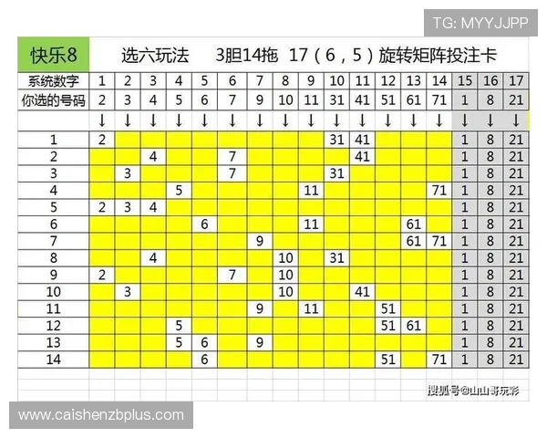 从双色球到快乐八全面解析热门彩票玩法规则与投注技巧入门指南
