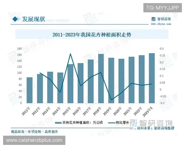 基于PK10历史数据趋势分析的智能预测与稳定选号策略研究方法
